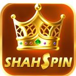 Shah Spin Game