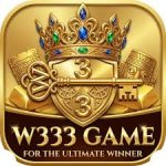 w333 Game