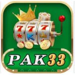 Pak33 Game